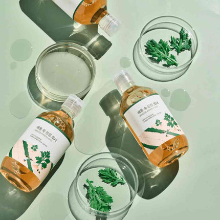 Round Lab | Mugwort Calming Toner - 300 ml