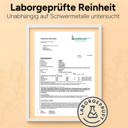 Curcuma Ingwer Plus – Kurkuma Kapseln