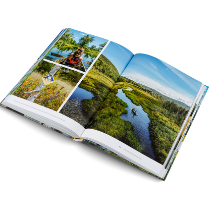 Leaving the Comfort Zone