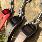 Schwarz / BioThane® - 16 mm / 7 m - 3.5 m pro Hund/Seite