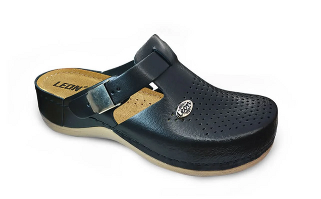 Komfort Clogs aus Leder – Orthopädischer Memory-Schaum Leon 900