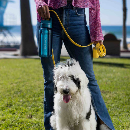 LifeStraw Go 1-Liter (polar white)