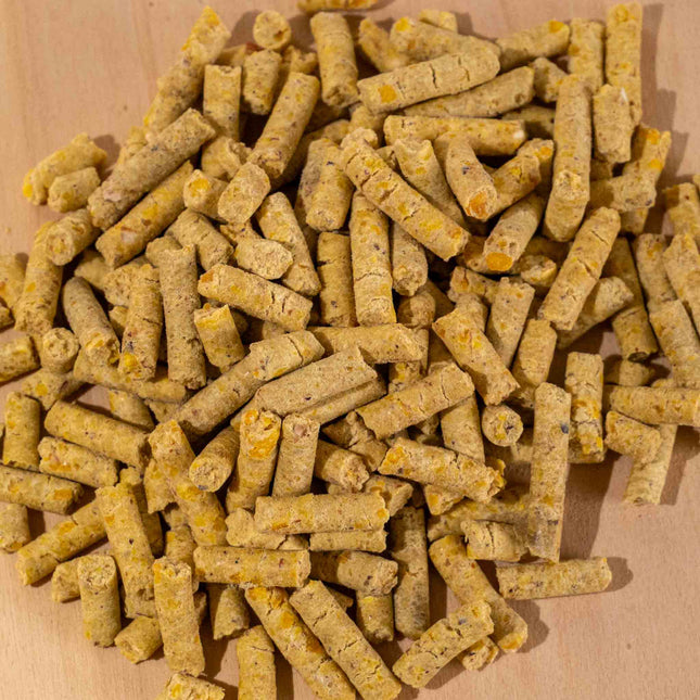 Maispellets aus 100% Körnermais – Regional & Gentechnikfrei