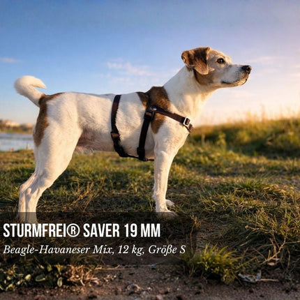 Vorderführgeschirr STURMFREI® Saver (19 mm) – höhenverstellbar aus BioThane® - Extra-Sicherung