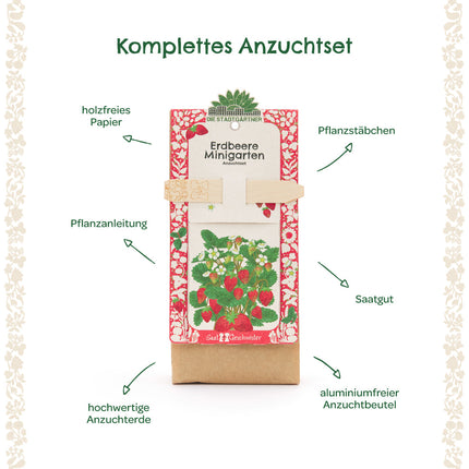 Anzuchtset – Minigarten Erdbeeren