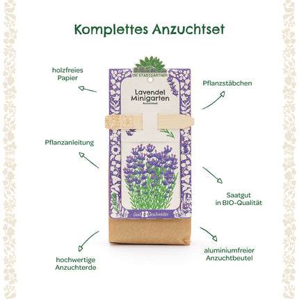 Anzuchtset – Minigarten BIO-Lavendel