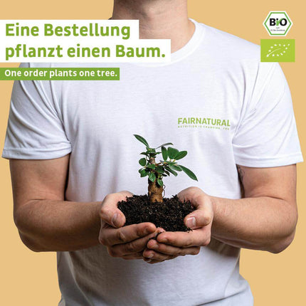 Bio Goldene Milch Pulver