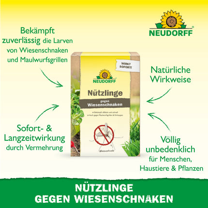 Nützlinge gegen Wiesenschnaken