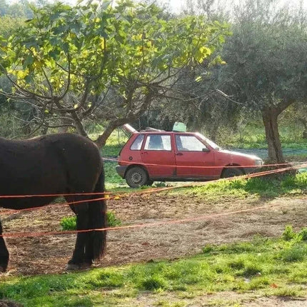 Premium Olivenöl Nativ Extra aus Kalabrien - Villa Annette - Garantiert Neue Ernte