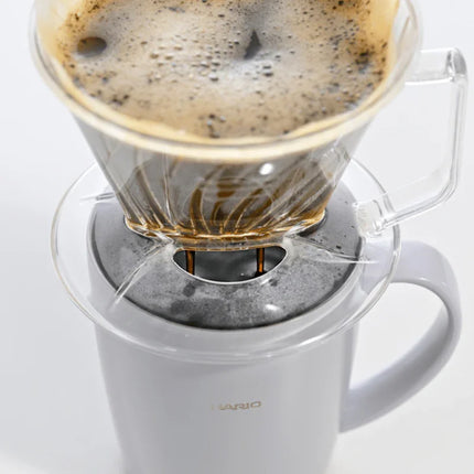 Hario Pegasus Dripper 02 – Clear Plastic Pour-Over Brewer