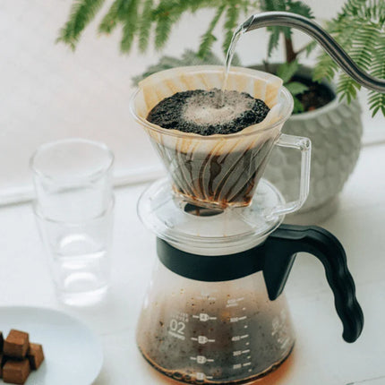 Hario Pegasus Dripper 02 – Clear Plastic Pour-Over Brewer