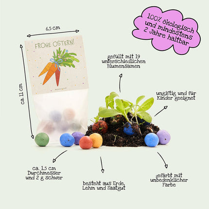 10x5 Blumenmurmeln im Tütchen "Möhren"