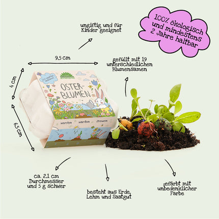 6 bunte Blumenmurmeln im Eierkarton