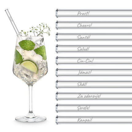 International Anstoßen Glasstrohhalme Party Set mit 20 Gemischte Gravierten "Prost" in Verschiedenen Sprachen - 20 Stück