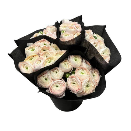 Ranunculus As Clooney Hanoi – Premium Ranunkeln Schnittblumen – A1 Qualität – 40cm Stiellänge – 20 Stiele Bundware für Floristik & Eventdeko