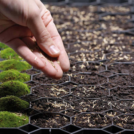 Rasengitter Stecksystem - 50 x 50 x 4 cm