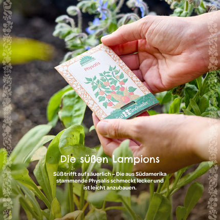 BIO-Saatgut Physalis