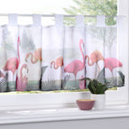 Flamingos