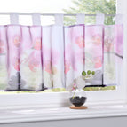 Orchidee