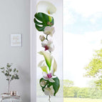 Orchidee Weiß