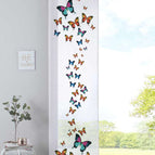 Schmetterling