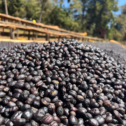 Café De La Casa - Espresso House Blend