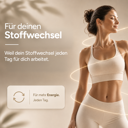 Leber Plus – Mariendistel Komplex