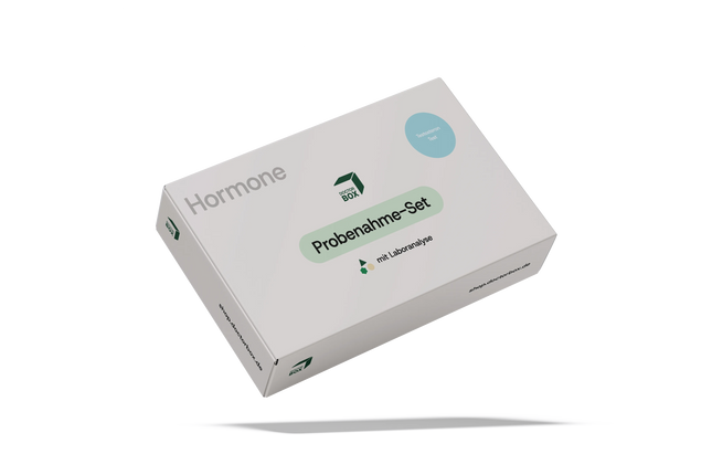 Testosteron Check