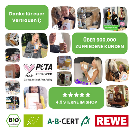 Bio Goldene Milch Latte mit 10 ayurvedischen Superfoods