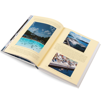 The Nature of Swimming