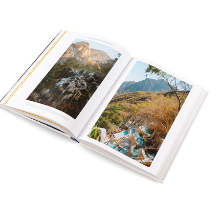 The Nature of Swimming