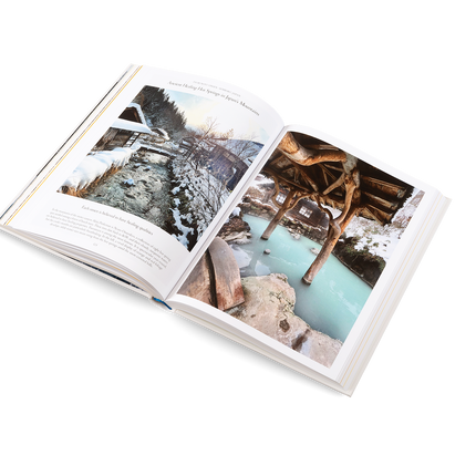 The Nature of Swimming