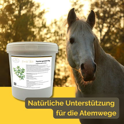 Thymian Pferd 1kg