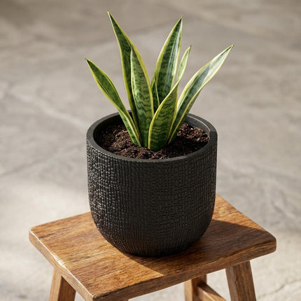 Pflanztopf Capi Bol Skin Anthrazit – D14cm x H13cm – Moderner Blumentopf mit Hautstruktur – Für Innen & Außen – Leicht & robust – Zeitloses Design