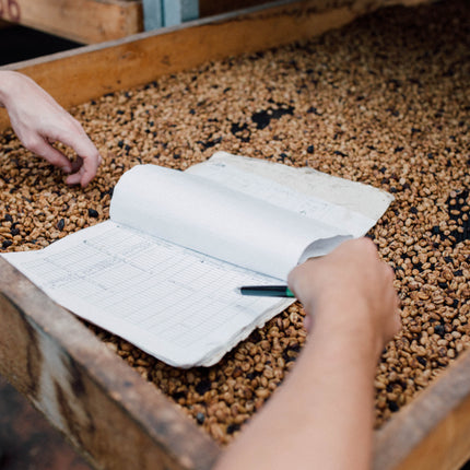 Costa Rica - Diego Robelo - Centroamericano Anaerobic Natural