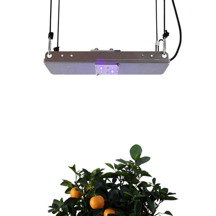 UVA Kit SMD Standalone