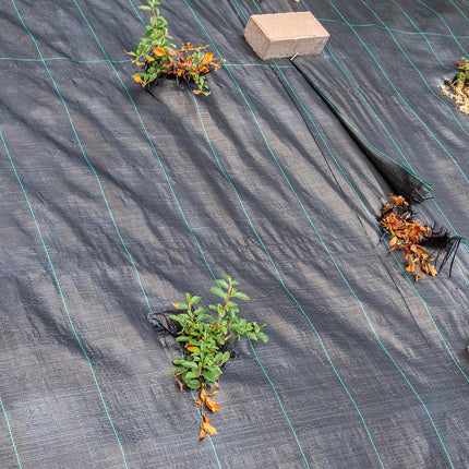 Unkrautblocker PP 105 g/m² – Verschiedene Größen