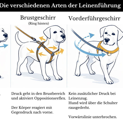 Vorderführgeschirr STURMFREI® Saver (19 mm) – höhenverstellbar aus BioThane® - Extra-Sicherung