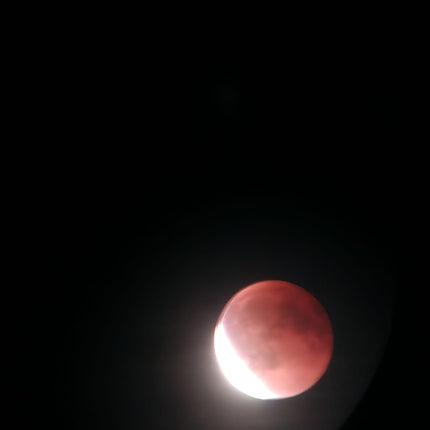 Halterung von Fernglas und Mikroskop - Stabile Befestigung für Smartphone