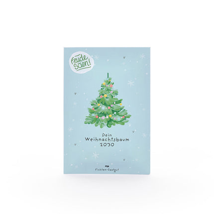 Fichten-Saatgut "Weihnachtsbaum 2030"