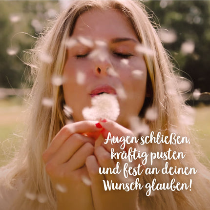 Großer Wunscherfüller – Pusteblume im Glas