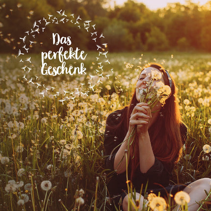 Großer Wunscherfüller – Pusteblume im Glas