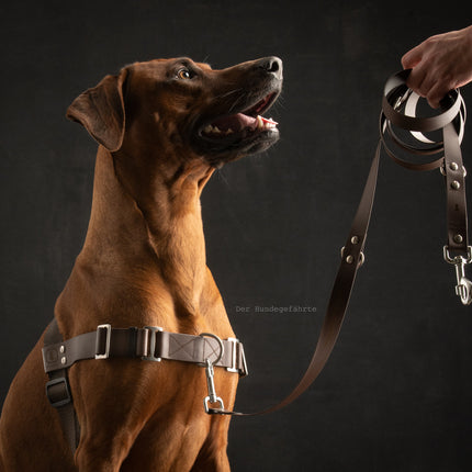 Anti-Stress-Geschirr STURMFREI®, Größe L