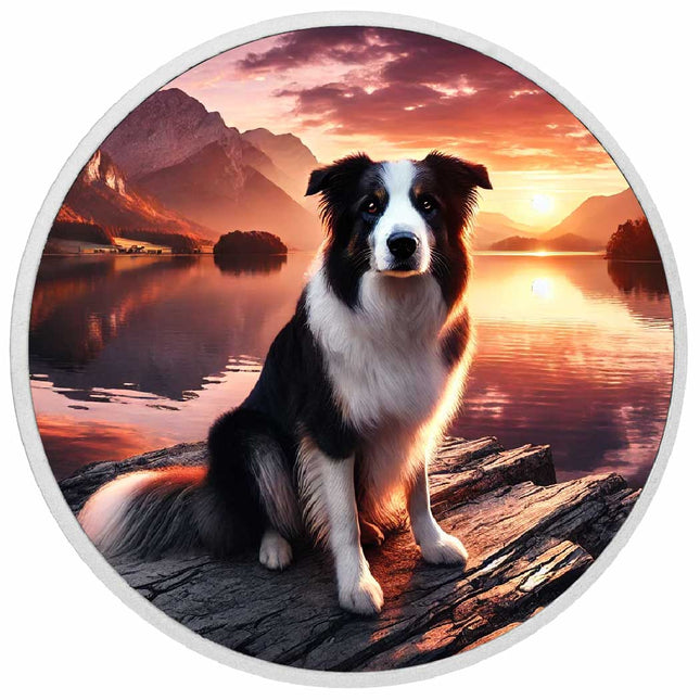 Serene Companion: Border Collie at Sunset 1oz Coin