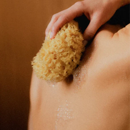 Hand & Body Wash – Grapefruit | Sanfte Reinigung |