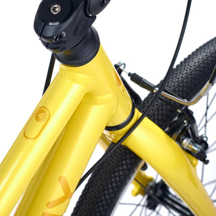 ACADEMY GRADE 4 belt - 20 Zoll Kinderfahrrad (Riemenantrieb) kaufen bei Linkreich – Jetzt entdecken!