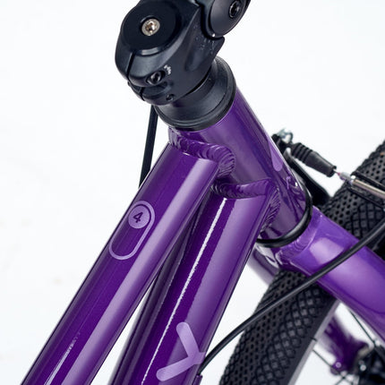 ACADEMY GRADE 4 belt - 20 Zoll Kinderfahrrad (Riemenantrieb) kaufen bei Linkreich – Jetzt entdecken!