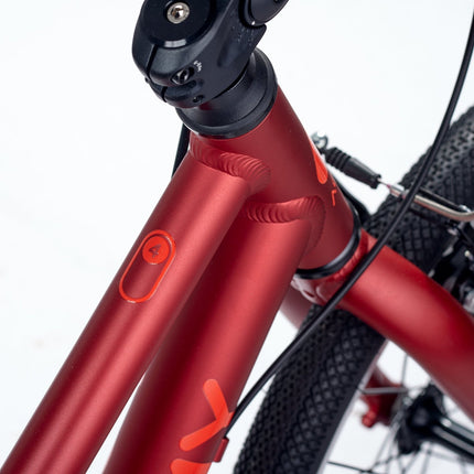 ACADEMY GRADE 4 belt - 20 Zoll Kinderfahrrad (Riemenantrieb) kaufen bei Linkreich – Jetzt entdecken!