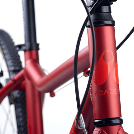 ACADEMY GRADE 5 - 24 Zoll Jugendfahrrad (Kettenantrieb) kaufen bei Linkreich – Jetzt entdecken!