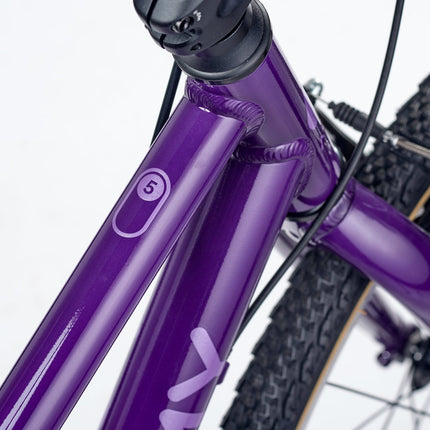 ACADEMY GRADE 5 - 24 Zoll Jugendfahrrad (Kettenantrieb) kaufen bei Linkreich – Jetzt entdecken!